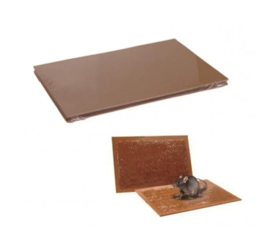 1 busta veleno per topi, 1 erogatore di sicurezza e 2 tavolette di colla