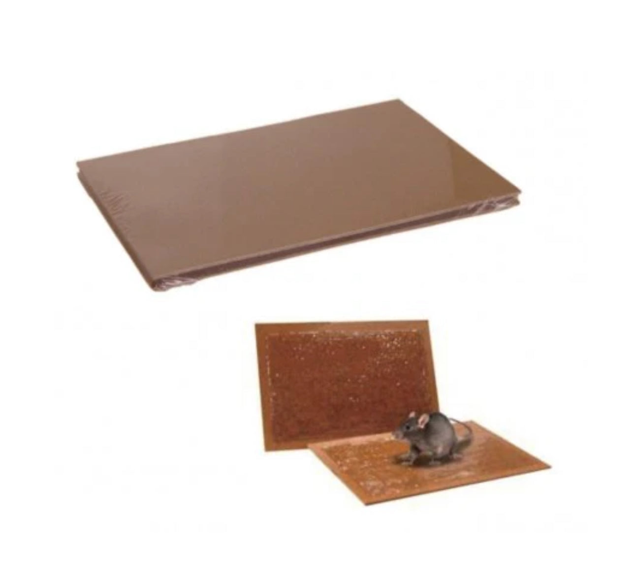 Tavoletta collante per topi e ratti uso professionale confezione da 3 confezioni da 2 pezzi
