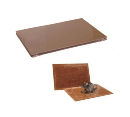 1 busta veleno per topi, 1 erogatore di sicurezza e 2 tavolette di colla