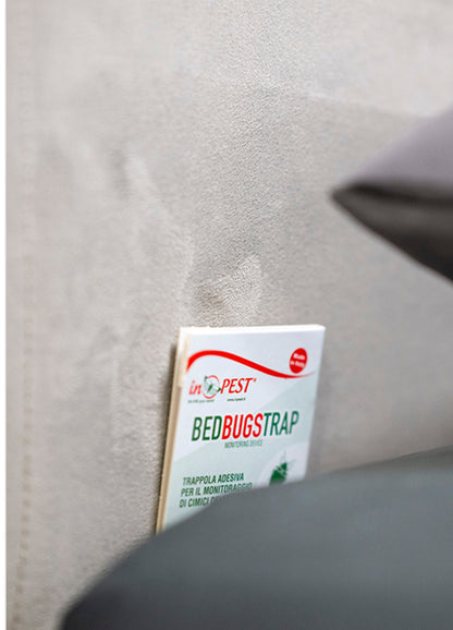 BED BUGS TRAP Trappola adesiva per il monitoraggio della cimice dei letti confezione 10 trappole
